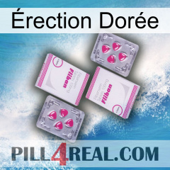 Érection Dorée 33